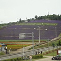 2012.7.16 北星山町營薰衣草纜車