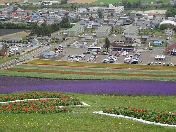 2012.7.16 北星山町營薰衣草田