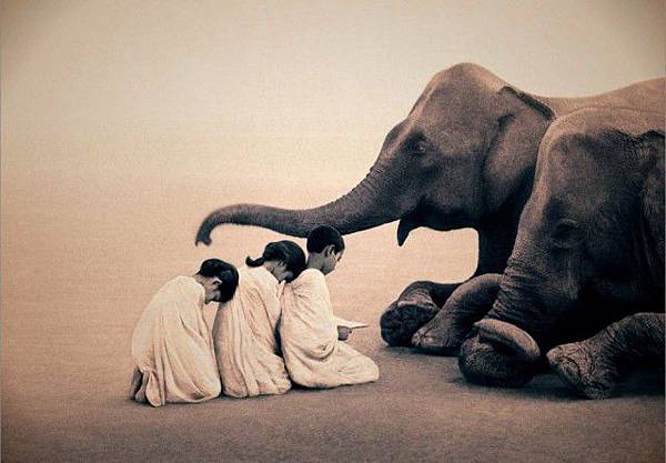 gregory-colbert-9-640x444