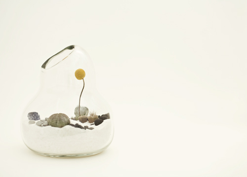 litill-terrariums-4.jpg