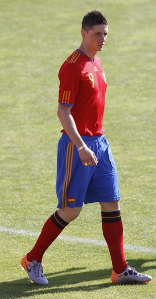 Spain-2010WC-0526-Torres.jpg