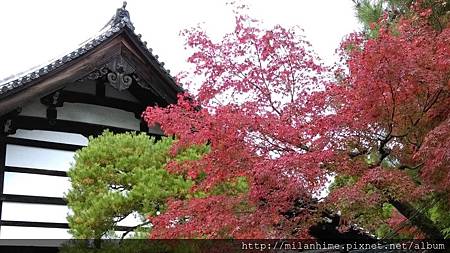 2015京都-1117-南禪寺周邊-12.jpg 2015京都-1117-南禪寺周邊-12.jpg