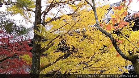 2015京都-1117- 南禪寺-62.jpg 2015京都-1117- 南禪寺-62.jpg
