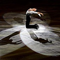 2008GPFinal-Exhibitin-JohnnyWeir-1.jpg