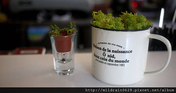 P1110325 P1110325