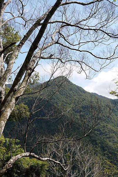 瓦拉米步道 (109)