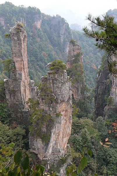 袁家界-西海峰林 (36)