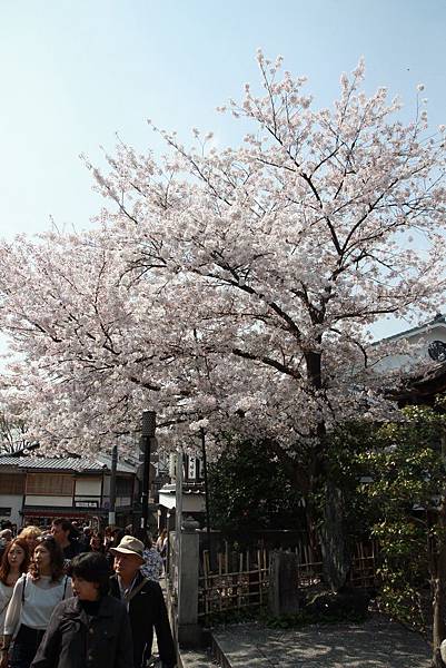 清水寺