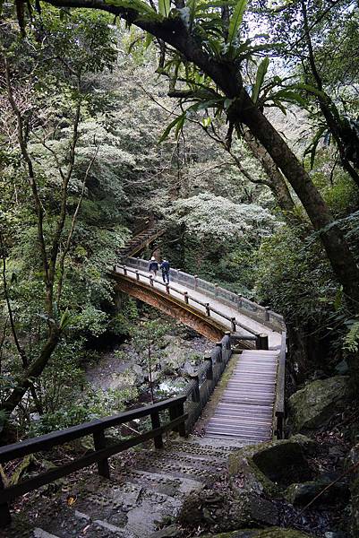 三峽滿月圓森林遊樂區