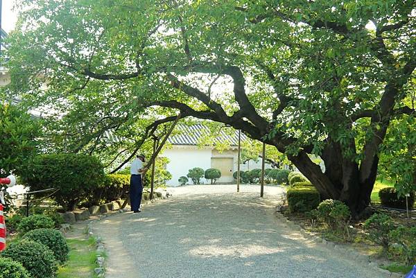 和歌山城