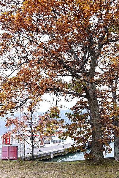 青森十和田湖