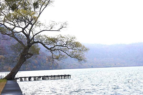 青森十和田湖