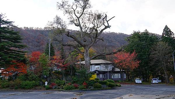 青森十和田湖楓景