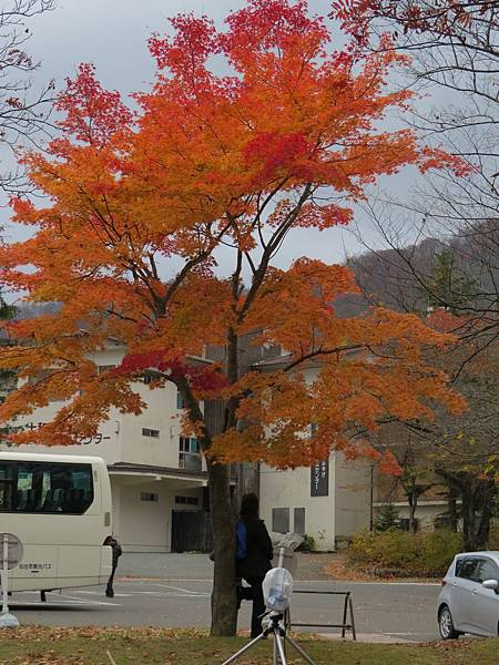 青森十和田湖楓景