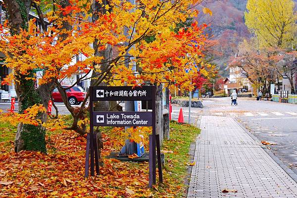 青森十和田湖楓景