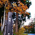 青森十和田湖楓景