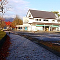 青森十和田湖楓景