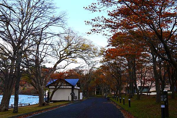 青森十和田湖楓景