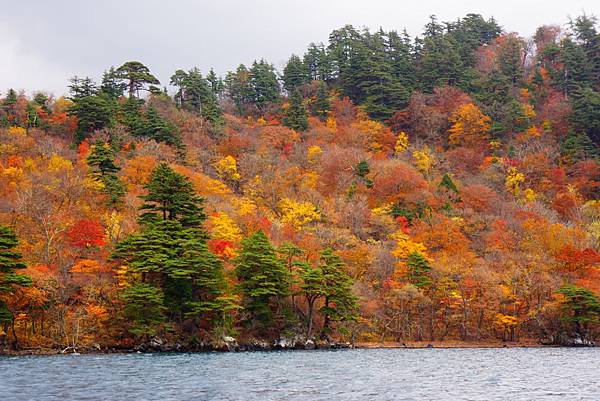 十和田湖的楓景