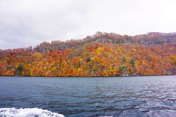 十和田湖的楓景