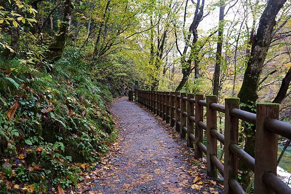 日本秘密後花園抱返溪谷