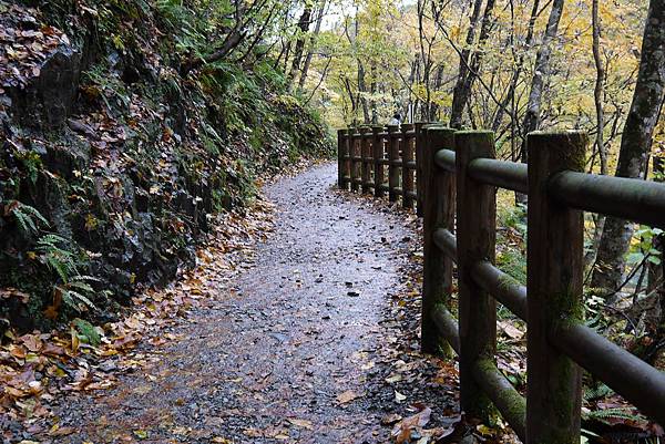 日本秘密後花園抱返溪谷