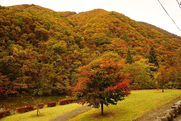 日本秘密後花園抱返溪谷