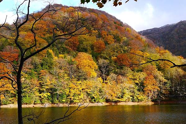 白神山地十二湖