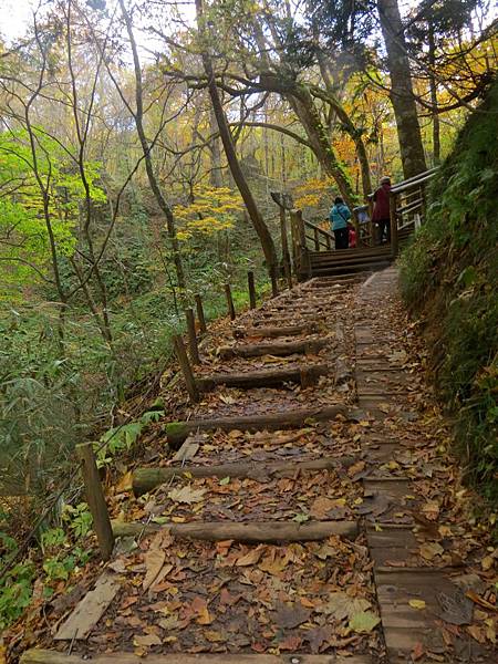 白神山地十二湖