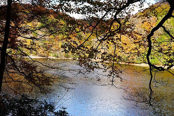 白神山地十二湖