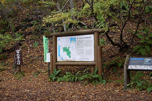 白神山地十二湖