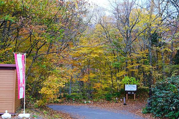 白神山地十二湖