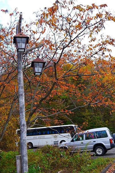 白神山地十二湖