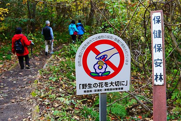 白神山地十二湖