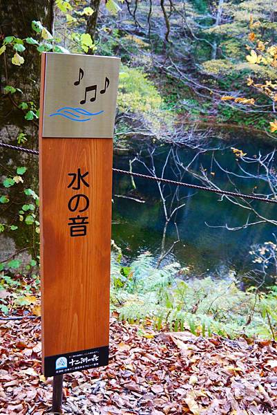 白神山地十二湖