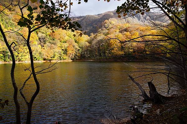 白神山地十二湖