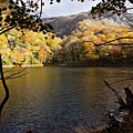 白神山地十二湖