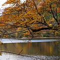 白神山地十二湖