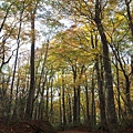 白神山地十二湖