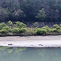 石門水庫