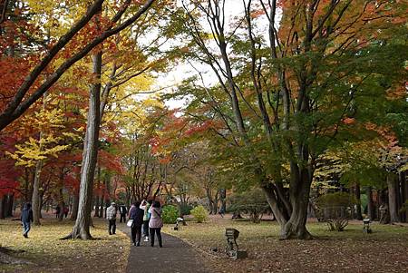 見晴公園 (26)