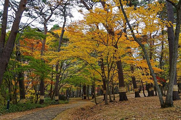 見晴公園 (550)