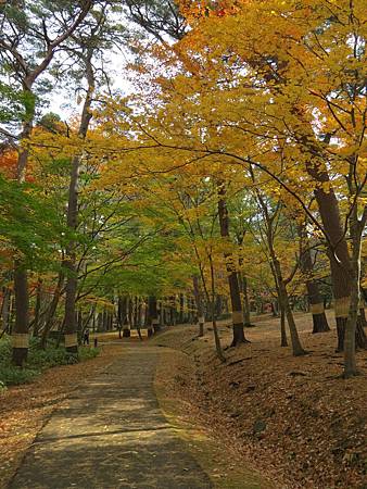 見晴公園 (846)