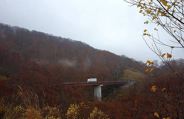 城倉大橋 (80)