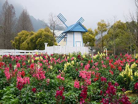 富田農場 (279)