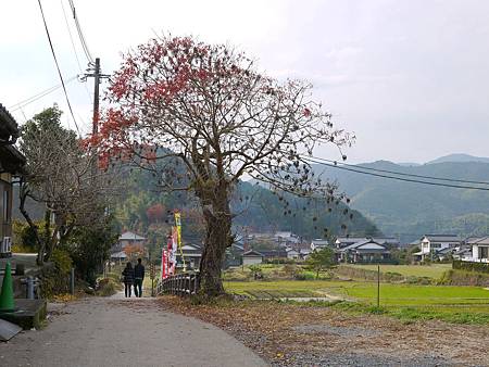 秋月城跡