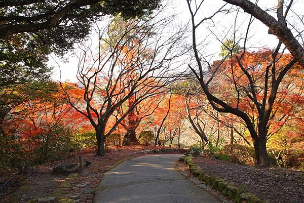 御船山樂園 (23)