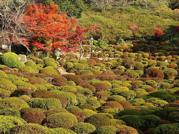 御船山樂園 (108)