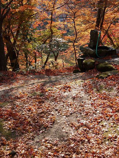 御船山樂園 (339)