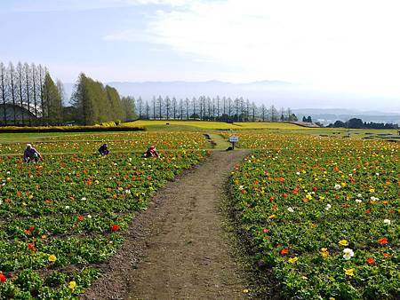 生駒高原 (9)